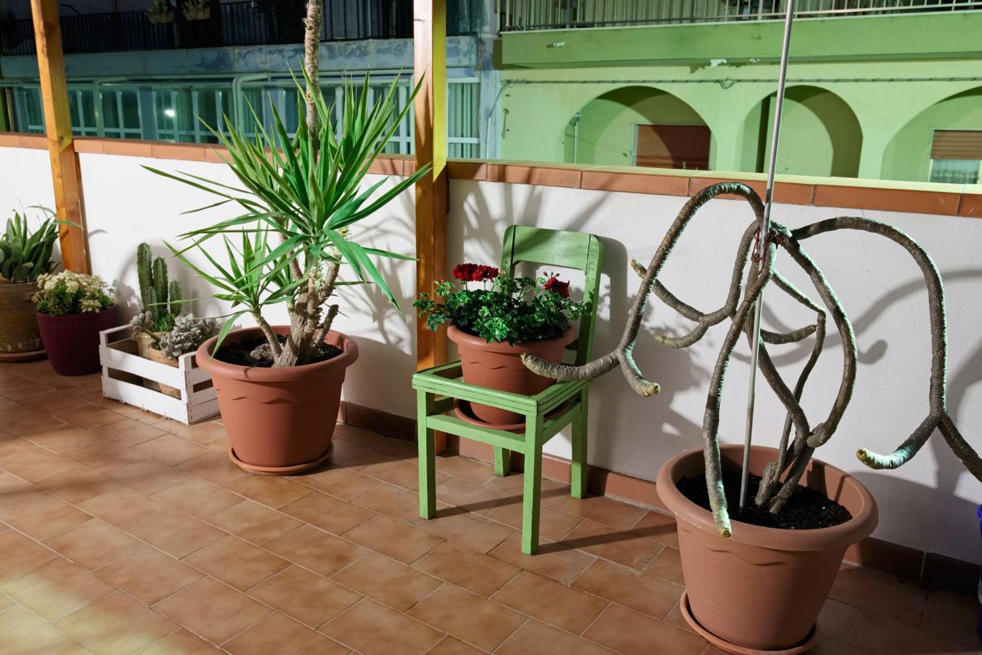 Le Terrazze Di Angela Apartment Marina di Ragusa Luaran gambar